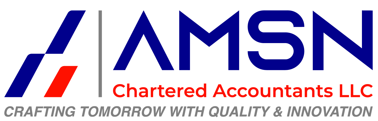 AMSN Chartered Accountants Logo
